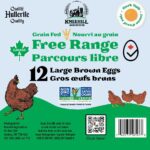 Free Range Non-GMO Brown Eggs (1 Doz) L/XL