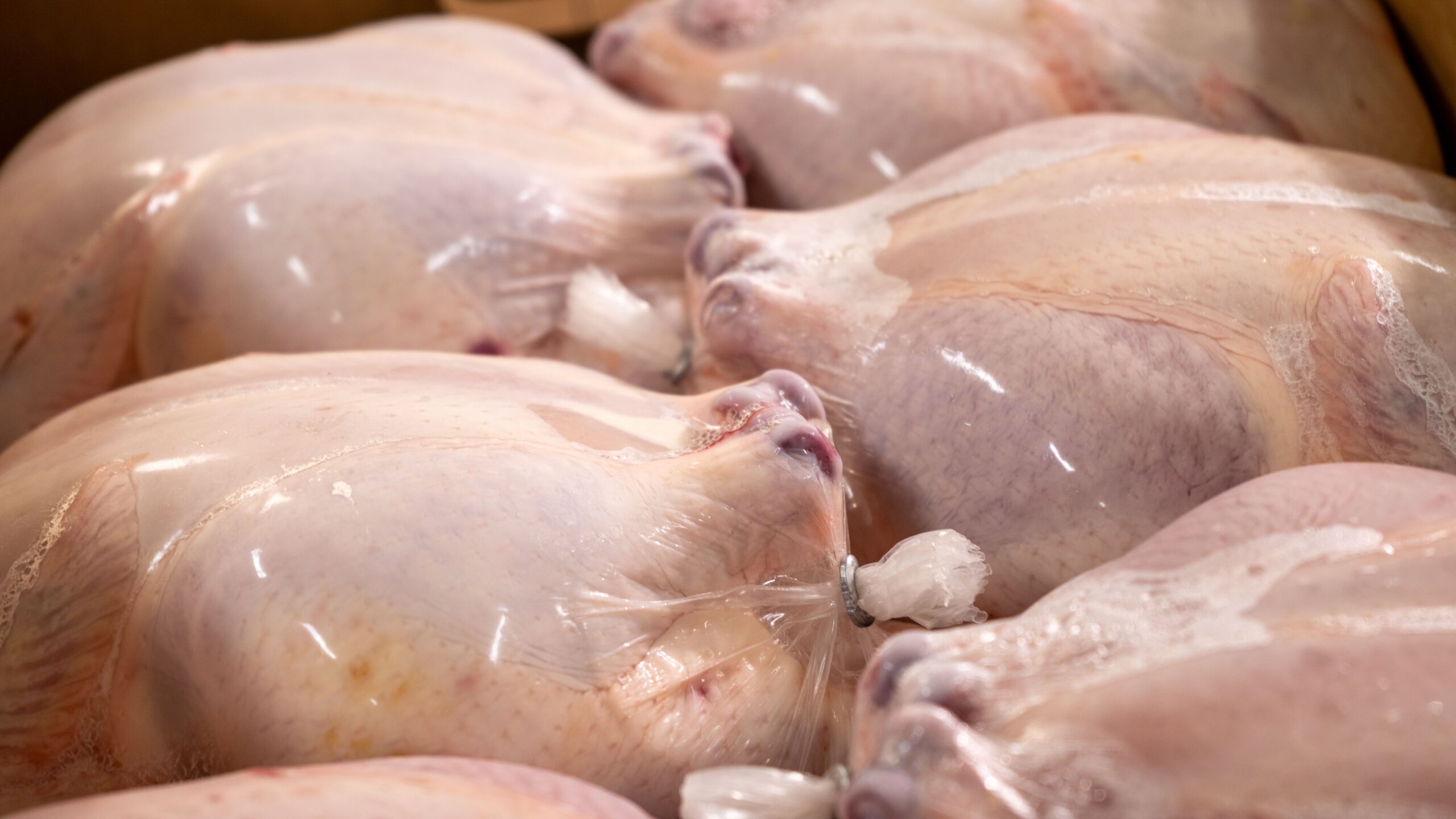 Whole Roasting Chicken (Freshly Chilled) - Hutterite Farm Exchange