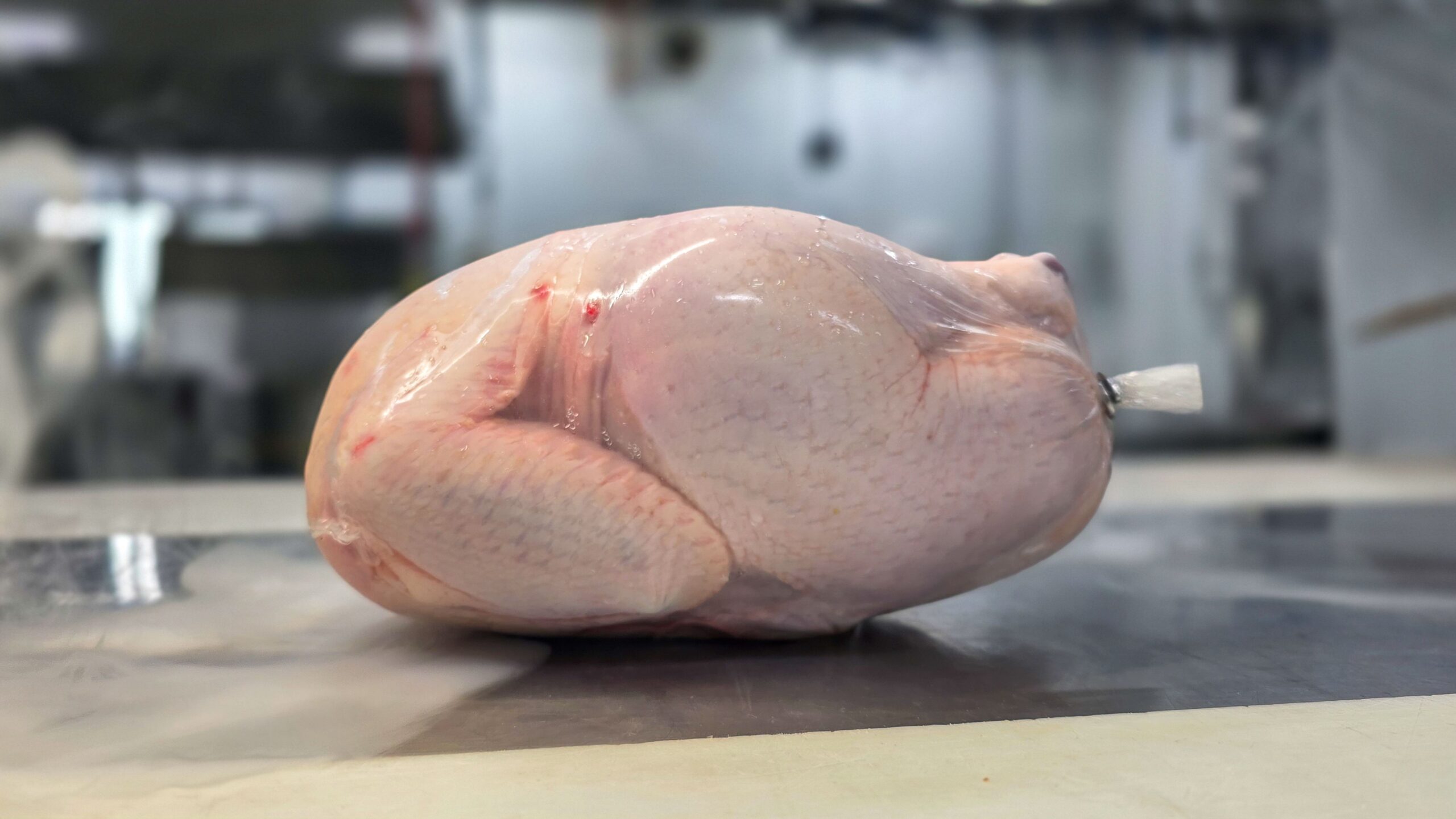 3 lbs Whole Roasting Chicken (Flash Freeze) - Hutterite Farm Exchange