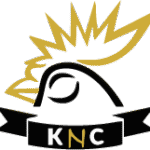 Kings Natural Chicken