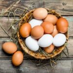 Free Range Non-GMO Brown Eggs (15 Doz) L/XL