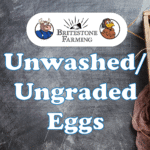 UNWASHED / Ungraded Free Range Eggs L/XL - 6 Flats (180 Eggs)