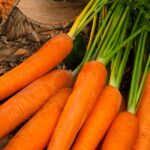Carrots