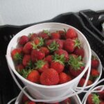 Strawberries (1 bucket)