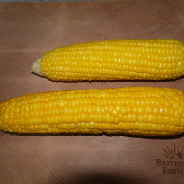 Corn