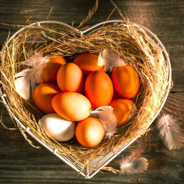Eggs