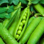 Pea (In a Pod)