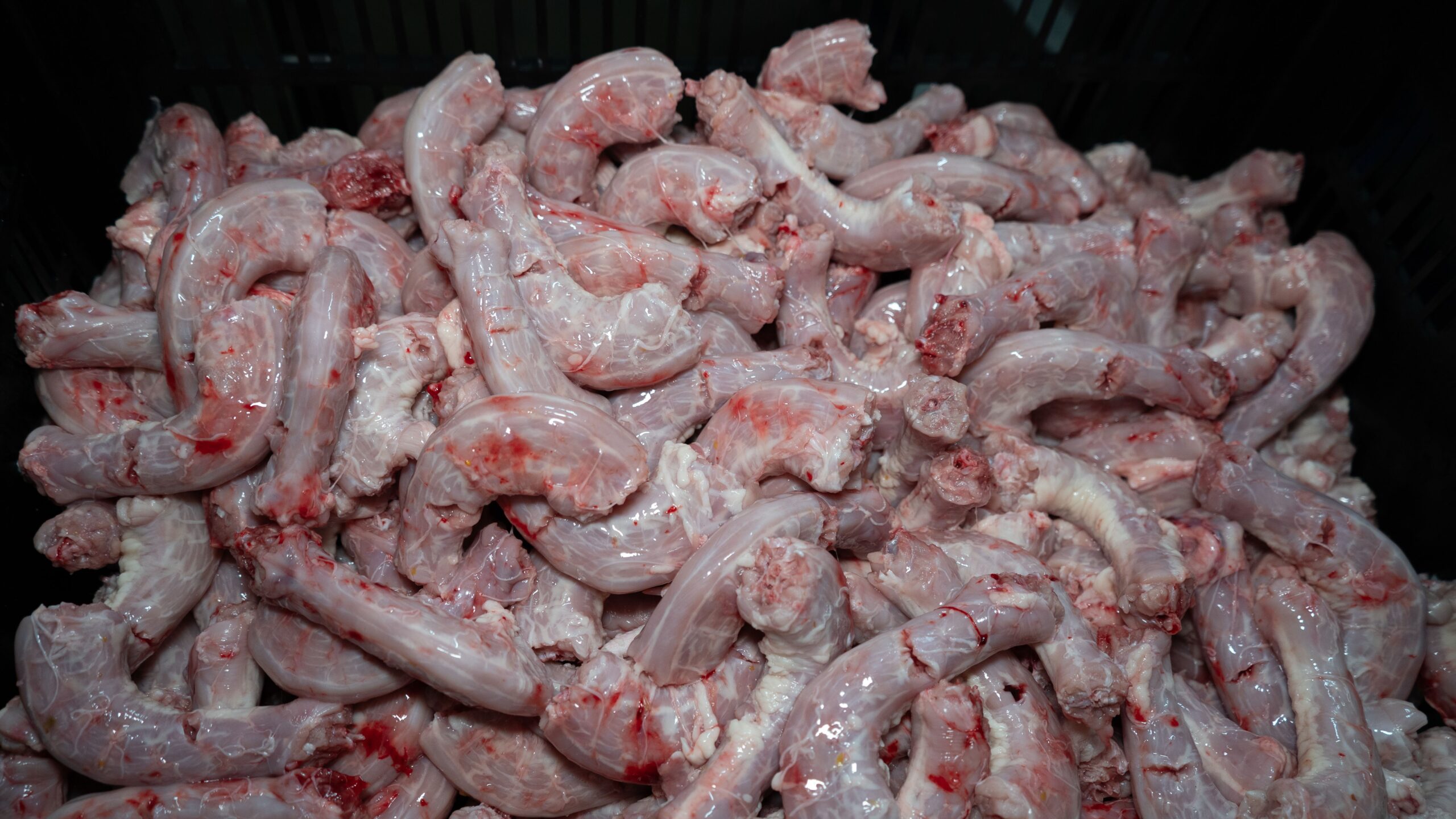 Chicken Neck (5 lbs / bag)