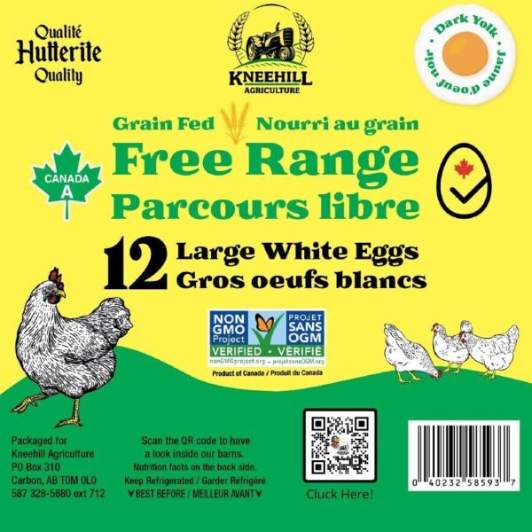 Free Range Non-GMO White Eggs (1 Doz) L/XL