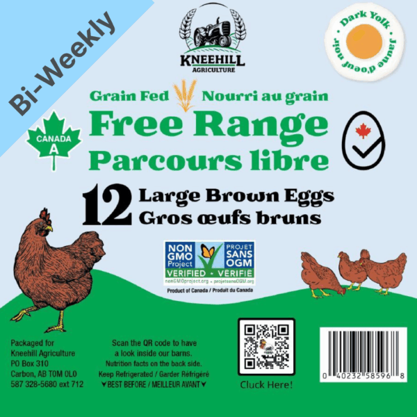 Free Range Non-GMO Brown Eggs (1 Doz) L/XL