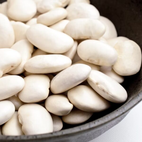 White Kidney Beans