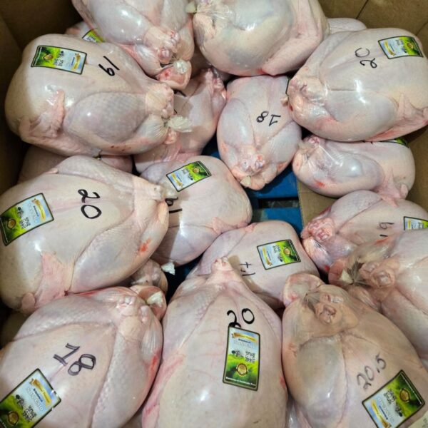 Free-Range Whole Turkey (Non-GMO) (30 - 34 lbs)