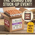 Free Range Mixed Jumbo Eggs (10 Dozens)