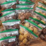 Homestyle Hutterite Cookies
