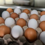 Free Range Mixed Jumbo Eggs (10 Dozens)