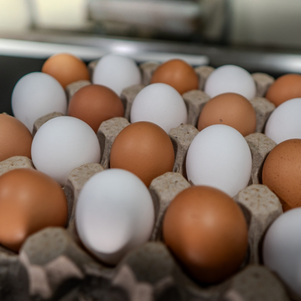 Jumbo Eggs