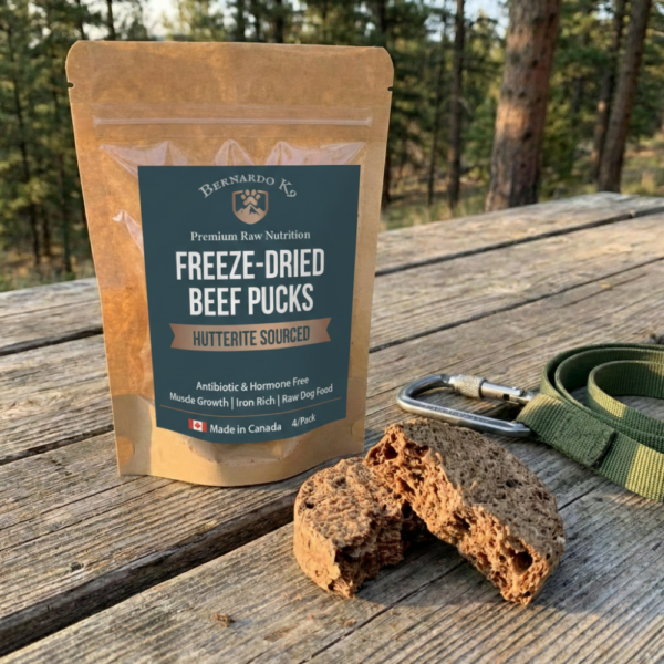 Freeze-Dried Raw Beef Puck (Travel Ready)