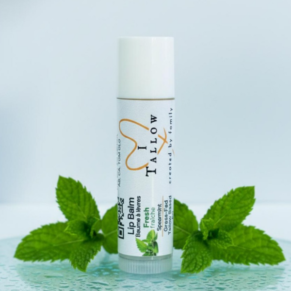 Tallow Lip Balm (Fresh)