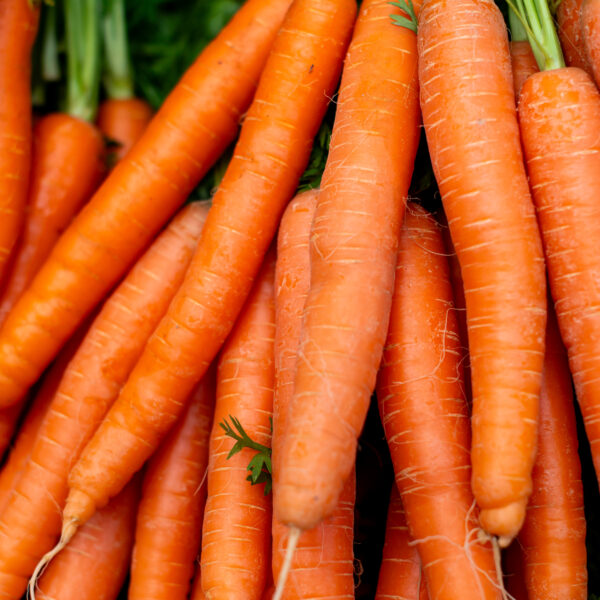 Sweet Storage Carrots (3 lbs)