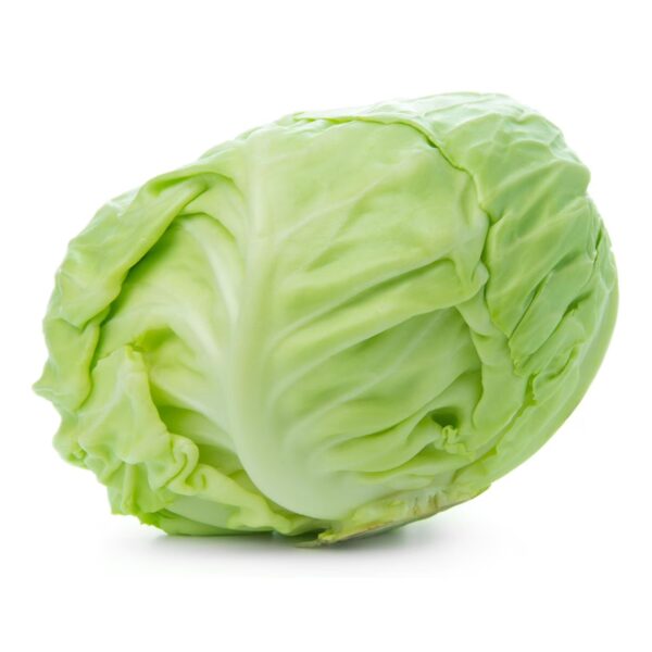 Cabbage (Large)