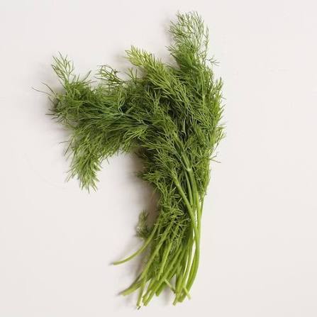 Dill (in Bunch)
