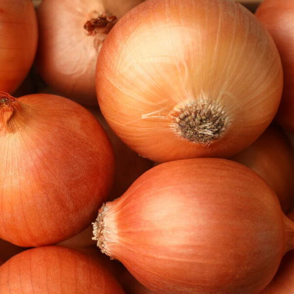 Onions (3 lbs / pack)